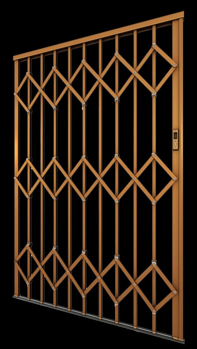 Gold trellis security gate design